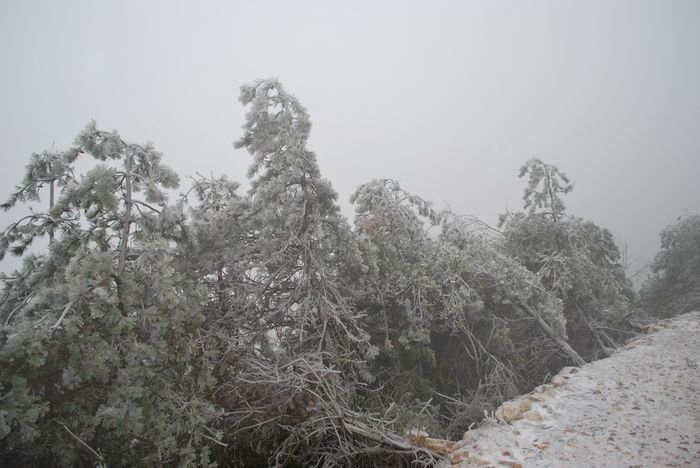 2010年春节苍山顶