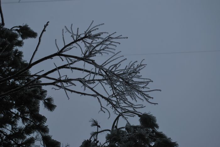 2010年春节苍山顶