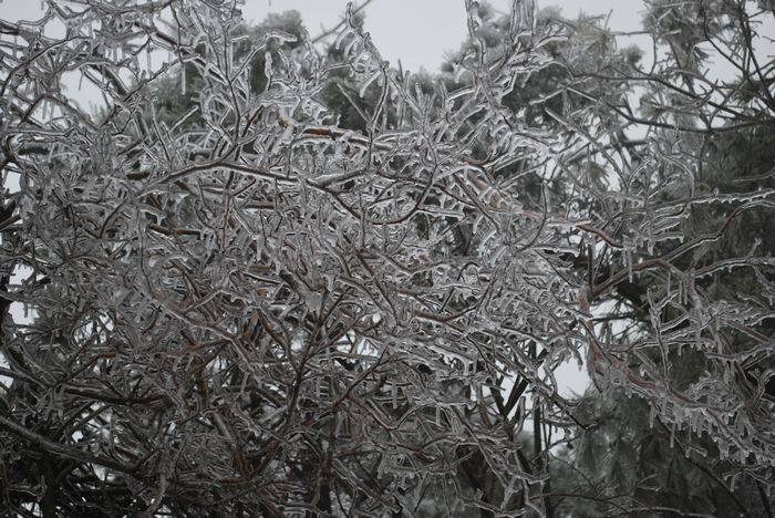 2010年春节苍山顶