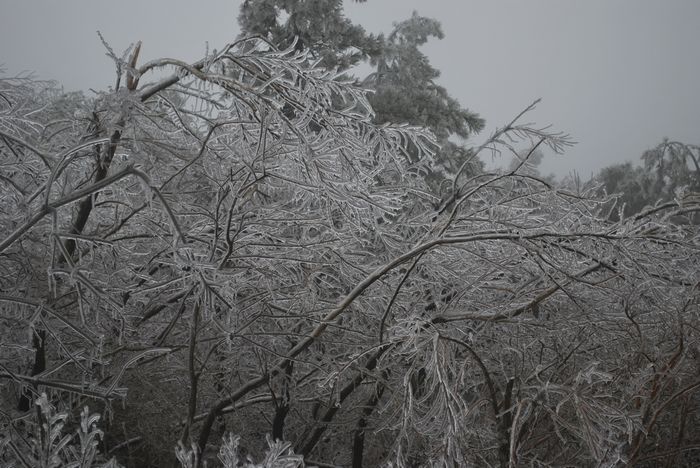 2010年春节苍山顶