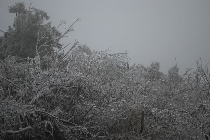 2010年春节苍山顶