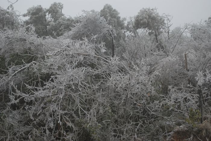 2010年春节苍山顶