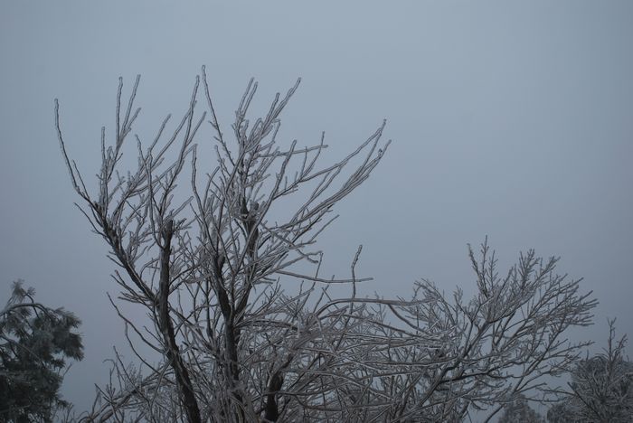 2010年春节苍山顶