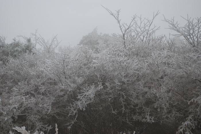 2010年春节苍山顶