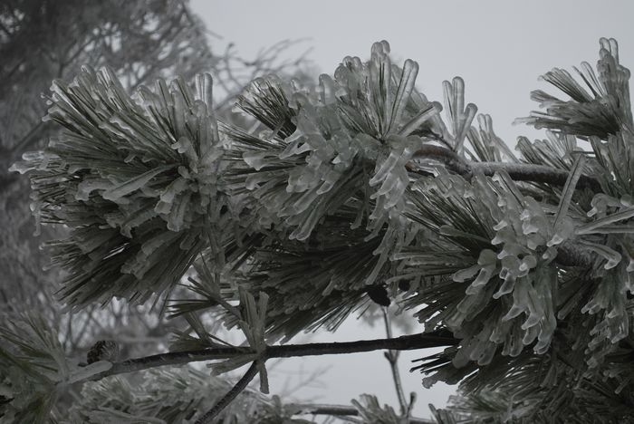 2010年春节苍山顶