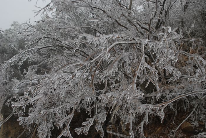2010年春节苍山顶
