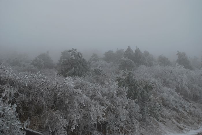 2010年春节苍山顶