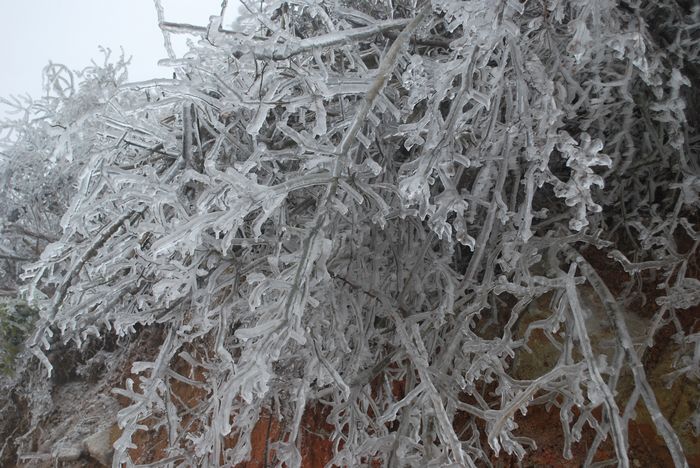 2010年春节苍山顶