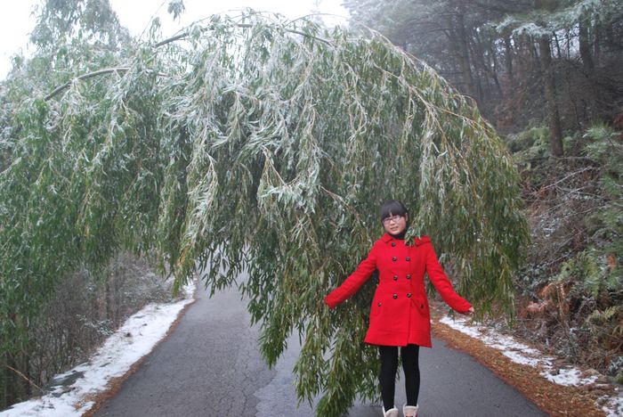 2010年春节苍山顶