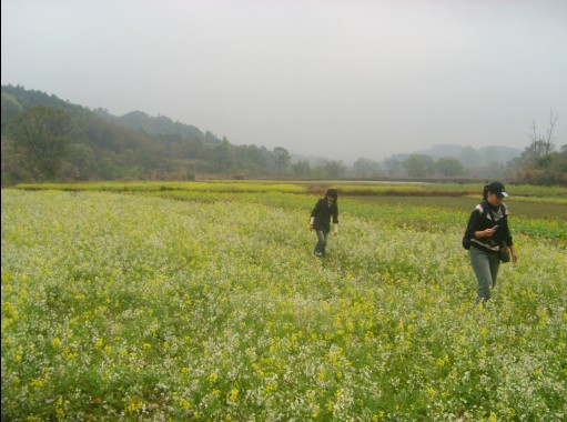 从花丛中走入仙境里