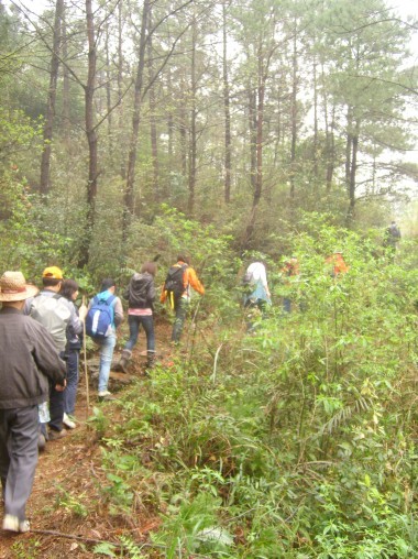 从花丛中走入仙境里
