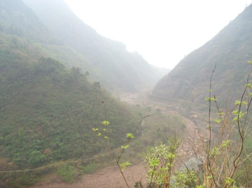 从花丛中走入仙境里