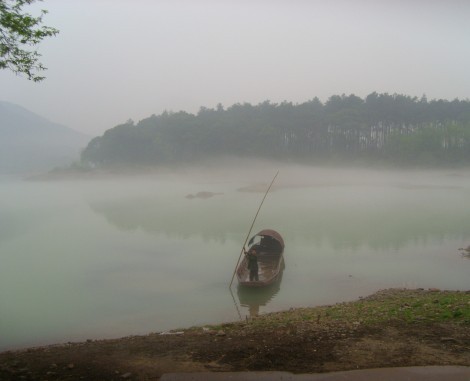 从花丛中走入仙境里