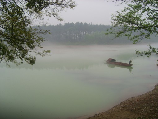 从花丛中走入仙境里