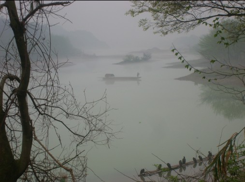 从花丛中走入仙境里