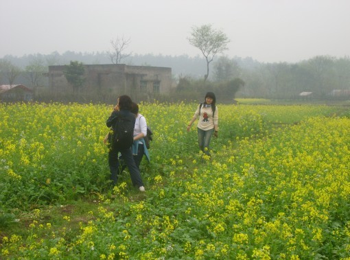 从花丛中走入仙境里