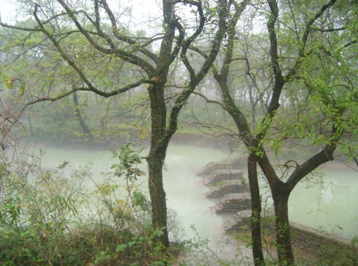 从花丛中走入仙境里