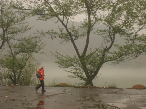 从花丛中走入仙境里