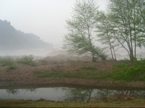 从花丛中走入仙境里