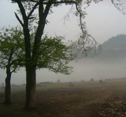 从花丛中走入仙境里