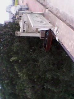 [原创]走过.又开始管闲事了