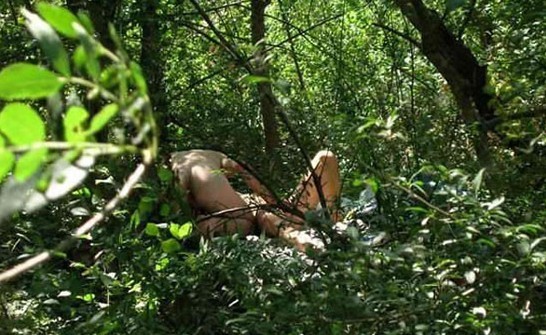 一不小心，被我拍到了这个。。。。