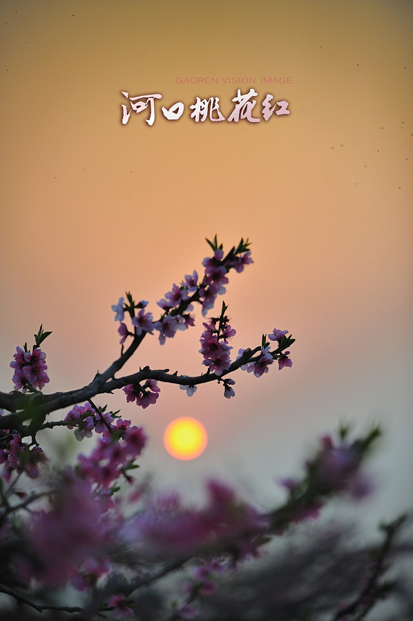 赤城山滴桃花！·