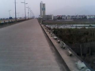 [原创]走过.又开始管闲事了