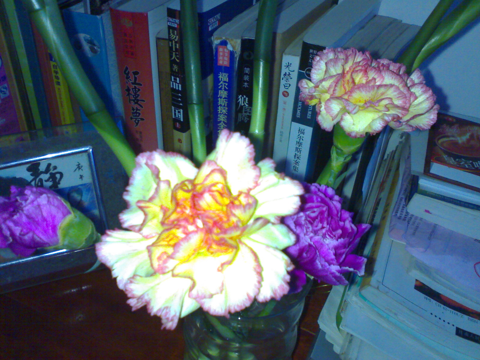 HOHO~~久违的花--心意花坊买滴