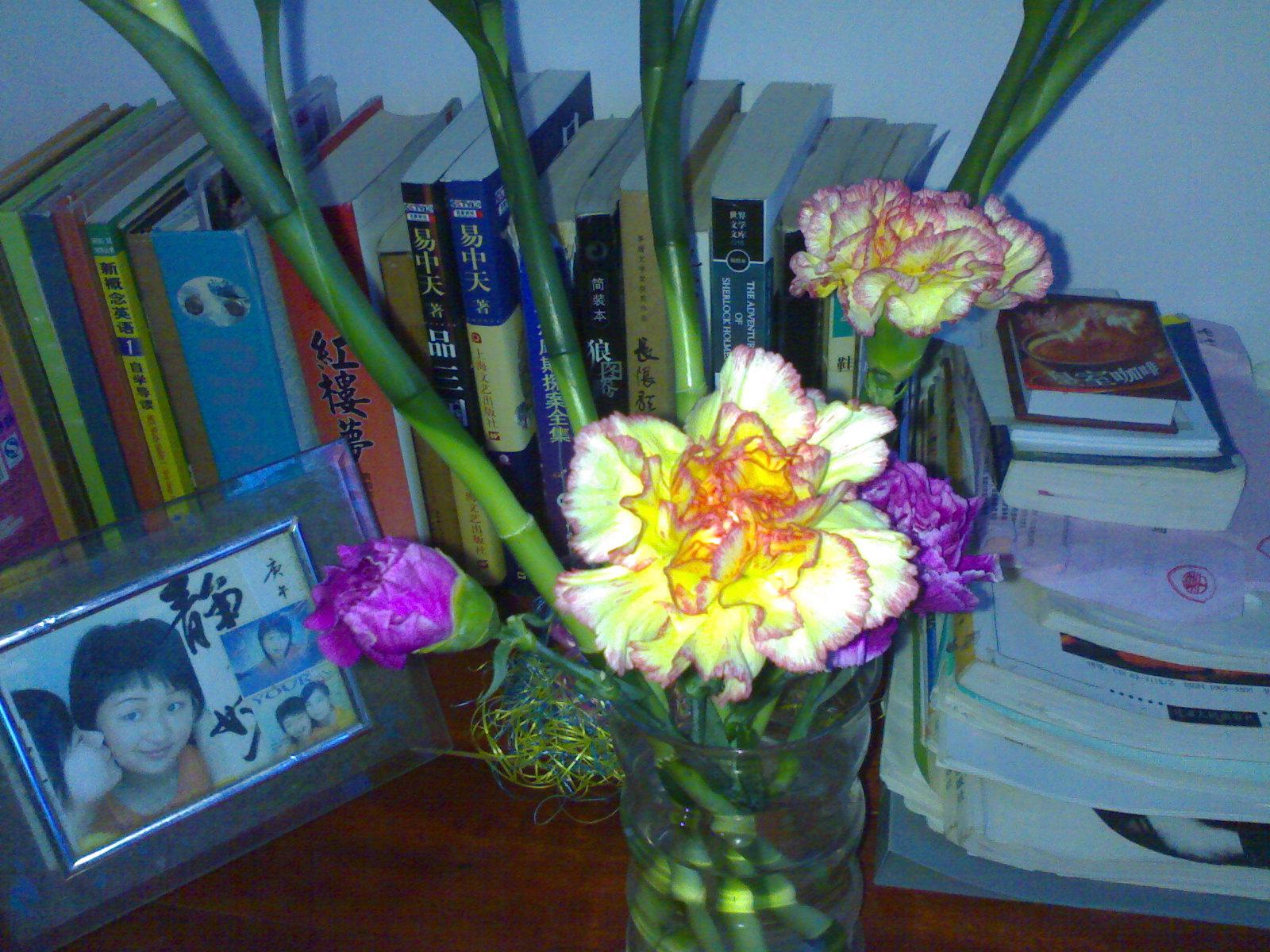 HOHO~~久违的花--心意花坊买滴