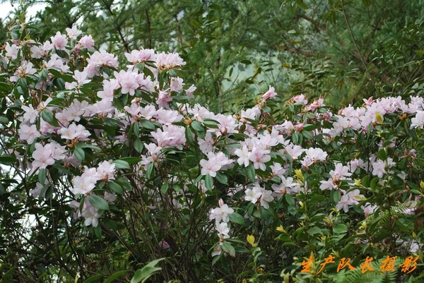 探行仙居景星岩南段山脊