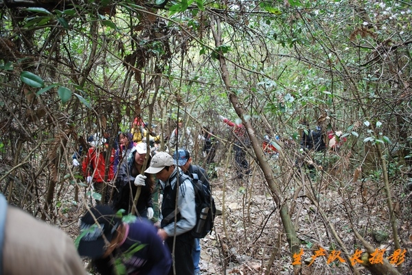 探行仙居景星岩南段山脊