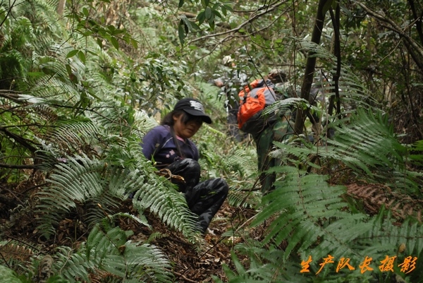 探行仙居景星岩南段山脊