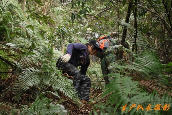 探行仙居景星岩南段山脊