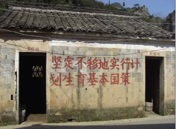 不小心拍到的   基本国策