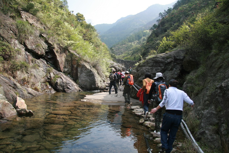穿越石井坑图片之老树版