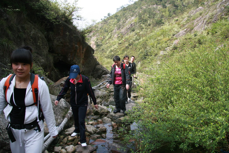 穿越石井坑图片之老树版