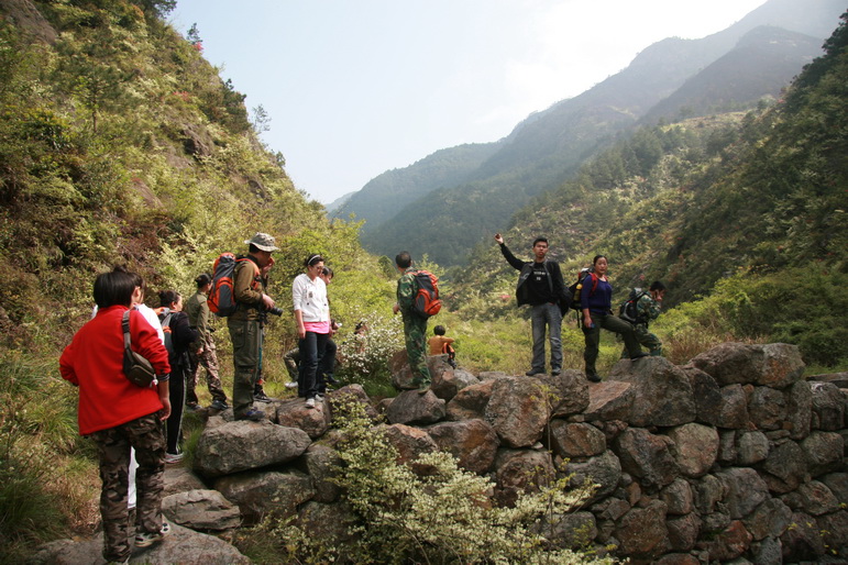 穿越石井坑图片之老树版