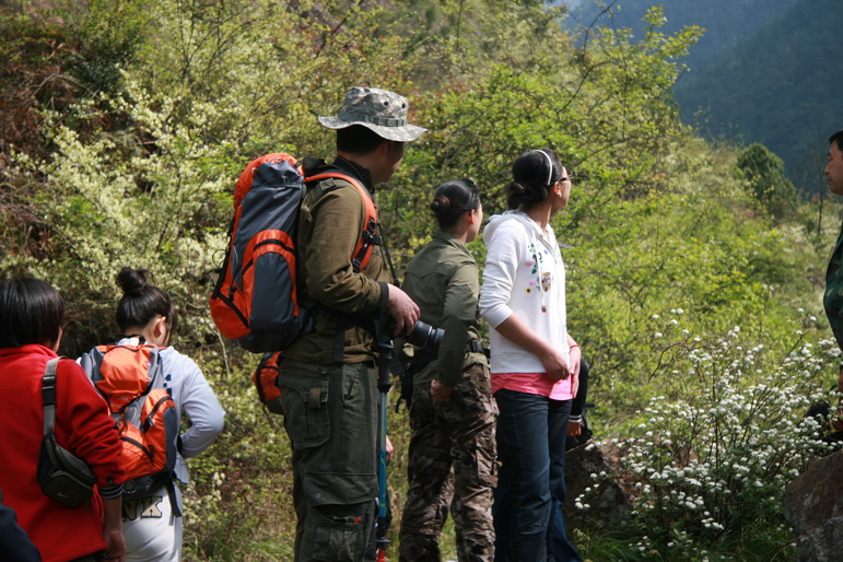 穿越石井坑图片之老树版