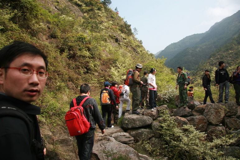 穿越石井坑图片之老树版