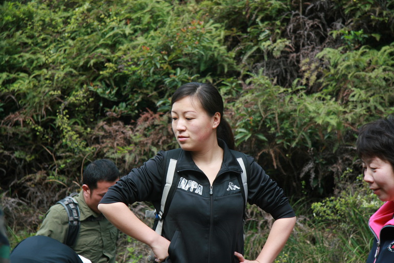 穿越石井坑图片之老树版