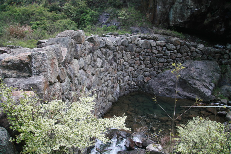 穿越石井坑图片之老树版