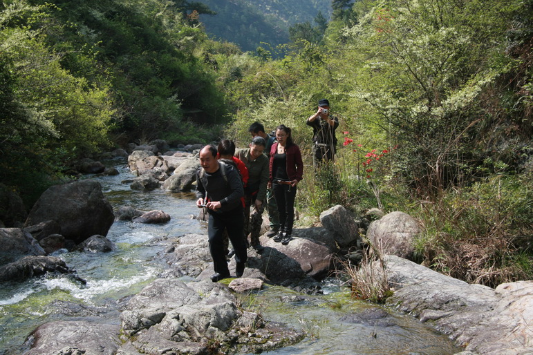 穿越石井坑图片之老树版