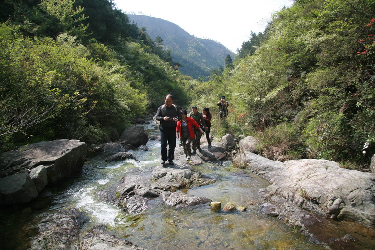 穿越石井坑图片之老树版