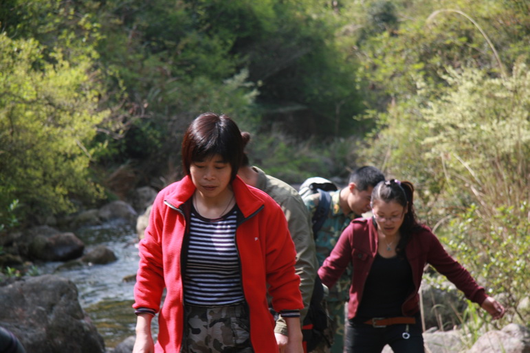 穿越石井坑图片之老树版