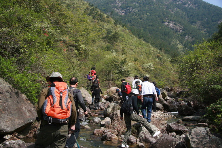 穿越石井坑图片之老树版