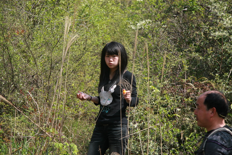 穿越石井坑图片之老树版