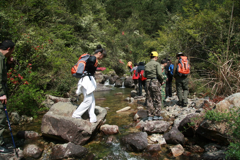 穿越石井坑图片之老树版