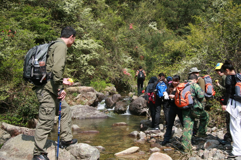 穿越石井坑图片之老树版