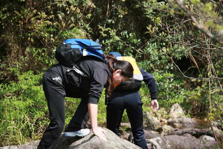 穿越石井坑图片之老树版